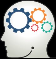 P2A